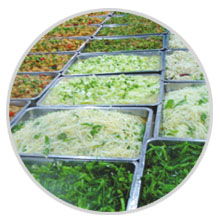 餐飲管理公司食品簡加工類特別專欄 提升效率與品質的管理策略